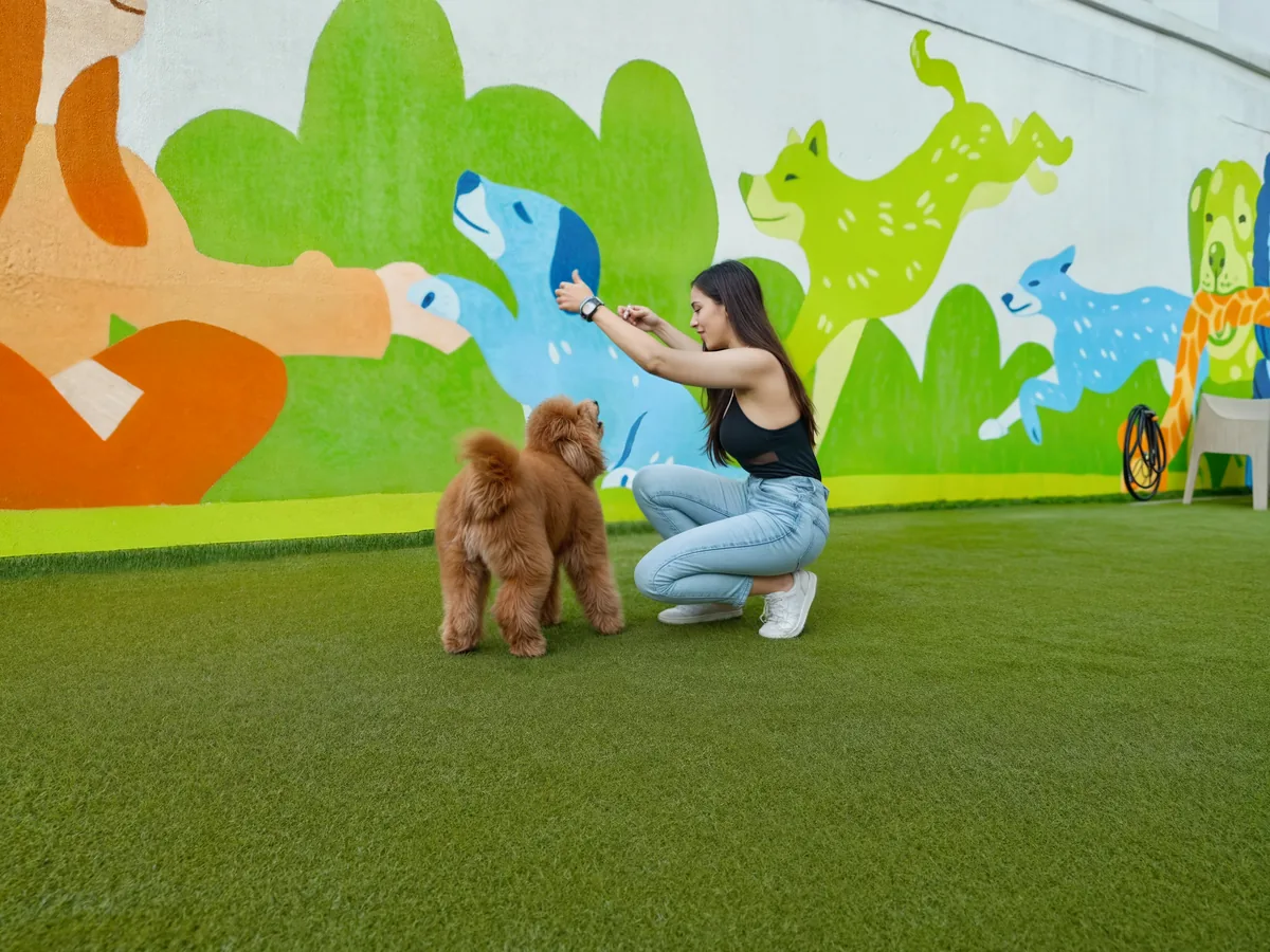 Mi Cool Pet Park